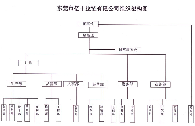 組織架構 - 東莞麻豆久久久9性大片麻豆成人免费视频有限公司