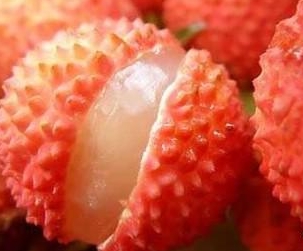 麻豆成人免费视频荔枝